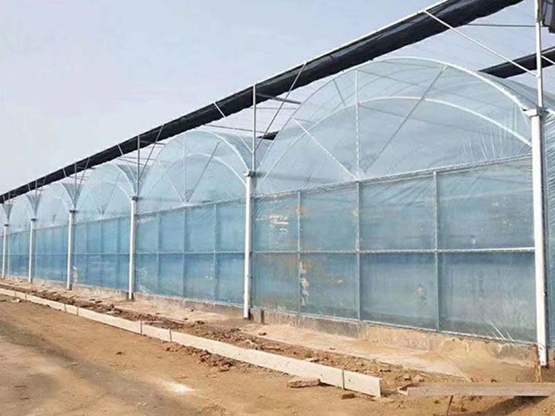 青州市佰辰溫室材料有限公司_連棟溫室